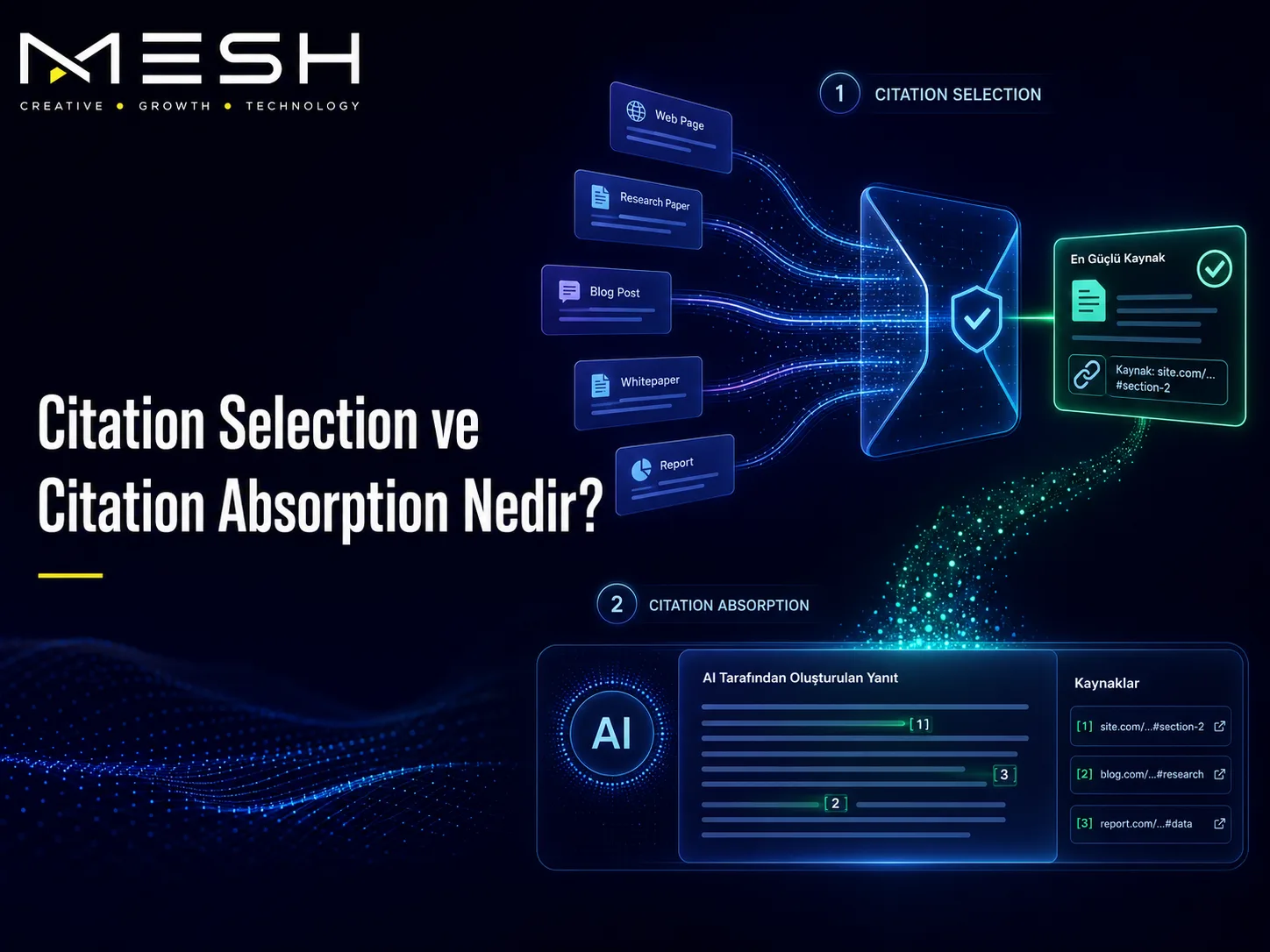 Citation Selection ve Citation Absorption Nedir?